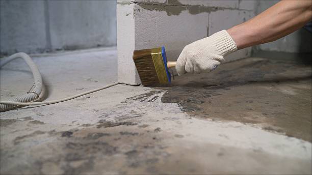 Top rated local Waterproofing specialists in Lyndhurst, VA